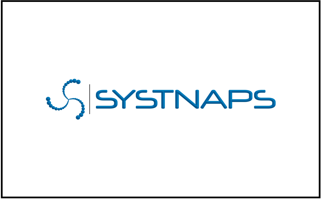 Systnaps membre du consortium stratexio French IT Alliance