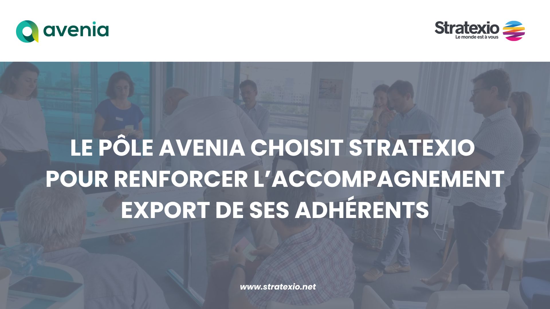 Le POLE AVENIA choisit Stratexio pour accompagner ses adhérents à l'international